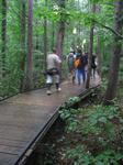 IMG_1779.jpg