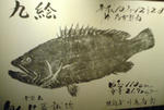 写真：クエ魚拓