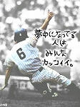 img072abb516kkvw0.jpg