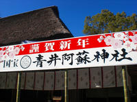 CIMG2884.jpg