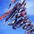 obt0002-003_s.jpg