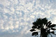 sor0147-039_s.jpg