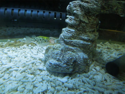 120712a.jpg