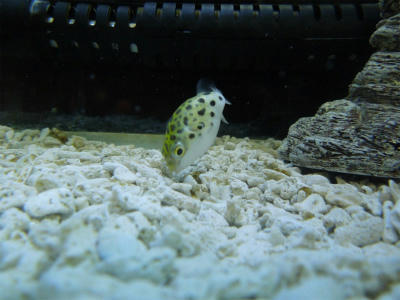 120712b.jpg