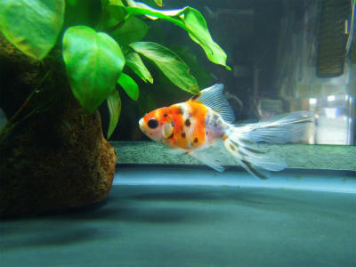 120718a.jpg