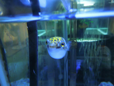 120719b.jpg