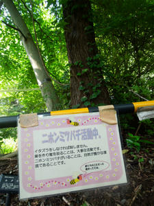 120727a.jpg