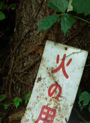 120727b.jpg