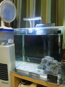 120728a.jpg