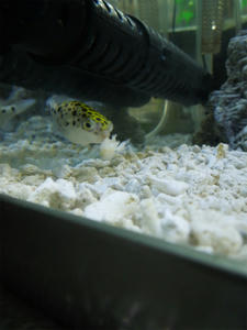120731a.jpg