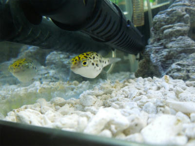 120731b.jpg