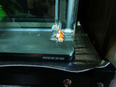 120807b.jpg