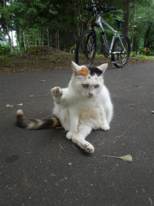 120812a.jpg