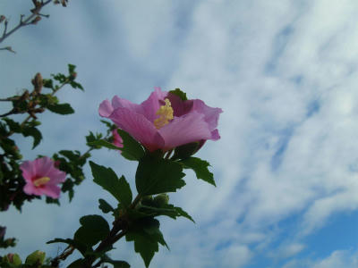 120829a.jpg