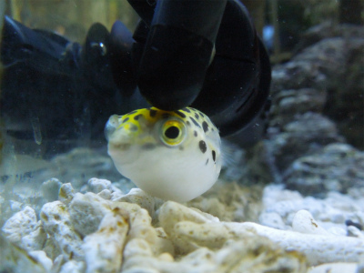 DSCN1654.jpg