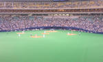 070705_1835~01.jpg