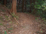 PB240014.jpg