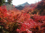 PC010003.jpg