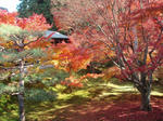 PC010083.jpg