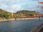 PC010155.jpg