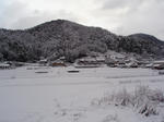 P1010065.jpg