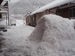 P1010073.jpg