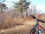 PB280004.jpg