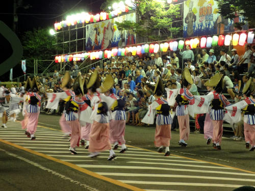 鳴門阿波踊り3