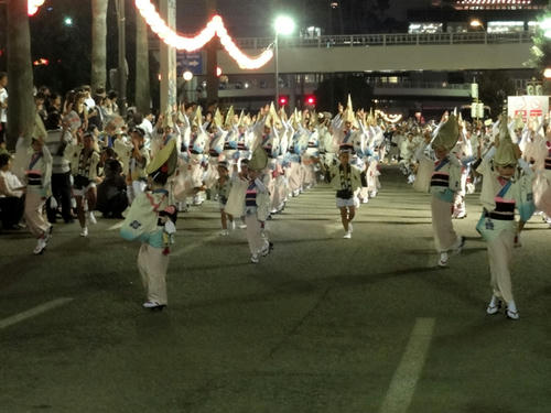 徳島阿波踊り3