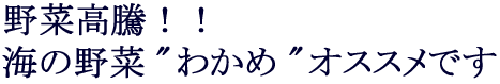 海の野菜わかめ