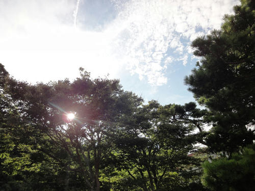 鳴門公園より