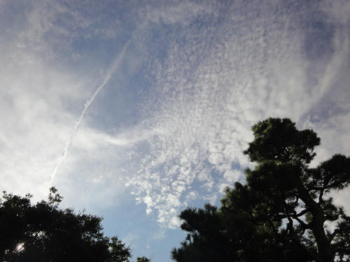 鳴門公園より