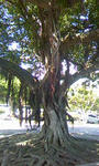 091026_1434~01.jpg