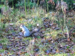 IMG_2183.JPG