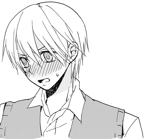 090824mono02.png