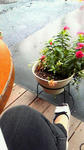 200910031035000.jpg