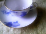 100819_074743.jpg