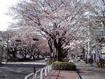 P1000001.JPG