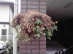 P1000005.JPG