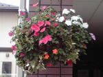 P1000002.JPG