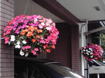 P1000003.JPG