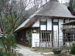 P1090049.JPG