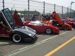 t7.JPG