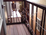 P1000010.JPG