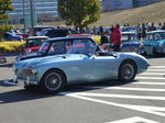 n2.JPG