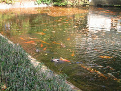 IMG_1128.JPG