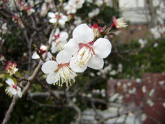 P3010010.JPG