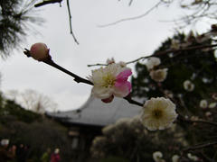 P3010020.JPG