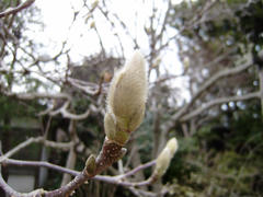P3010022.JPG