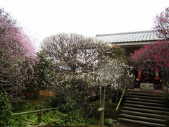 P3010028.JPG